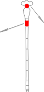 Azurjungfer