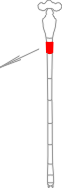 Pokaljungfer