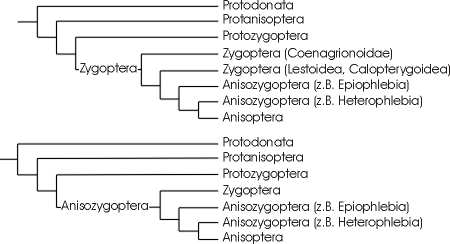 Entwicklungsgeschichte