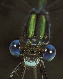 Hallo und Willkommen