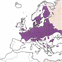 Verbreitung Cor aenea