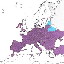 Verbreitung Isch pumilio
