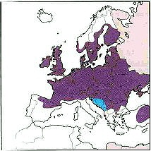 Verbreitung L. sponsa