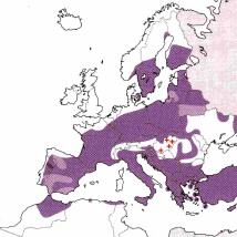 Verbreitung Ony forcipatus